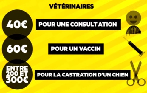 depenses veterinaire chien